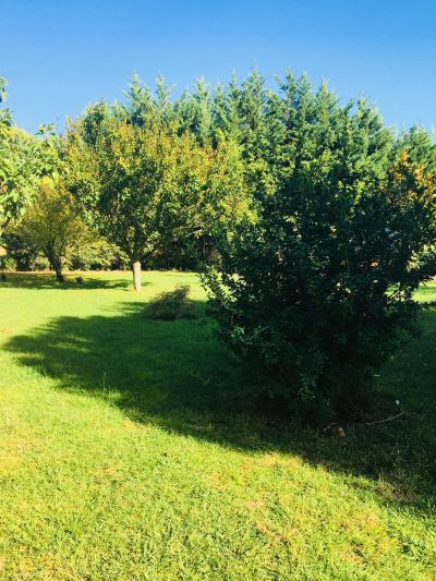Vente Maison Montferrier-sur-Lez 6&nbsp;Pièces 170&nbsp;m²