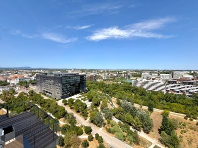 Sale Apartment Montpellier 5&nbsp;Rooms 226&nbsp;m²