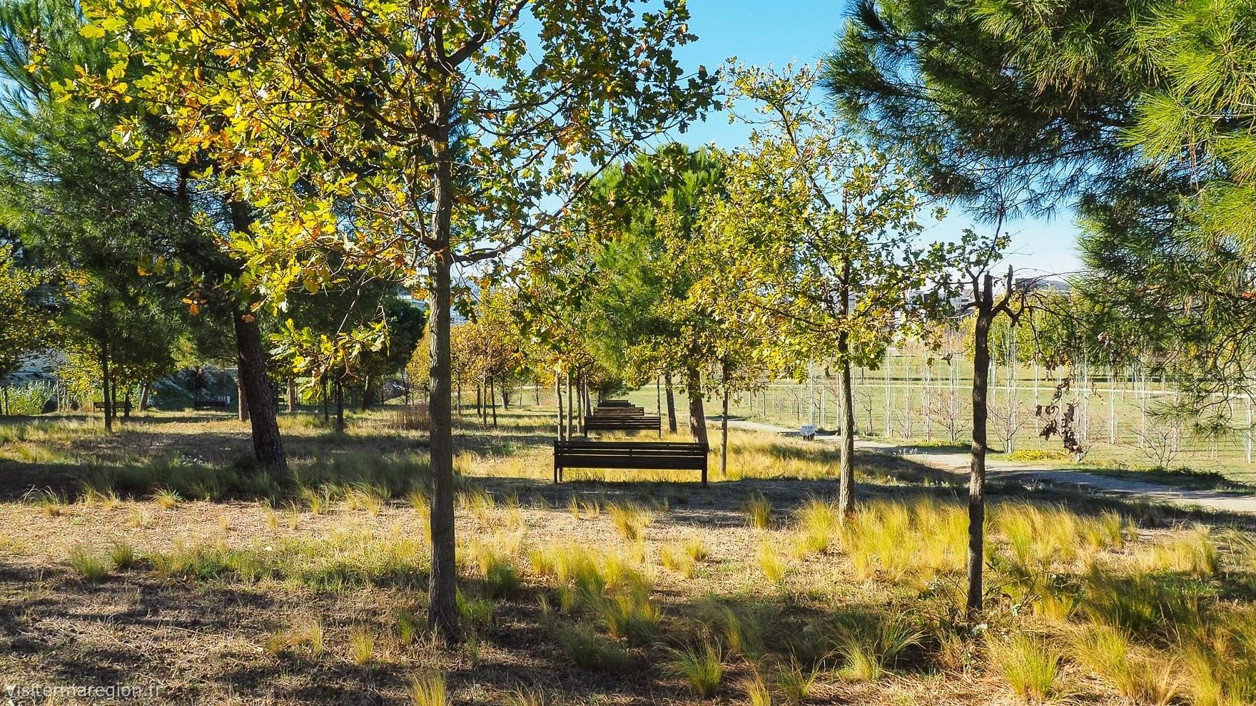 appartement 4 Pièces en vente sur MONTPELLIER (34000)