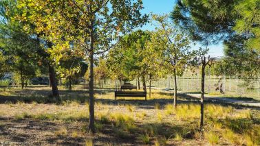 appartement 4 Pièces en vente sur MONTPELLIER (34000)