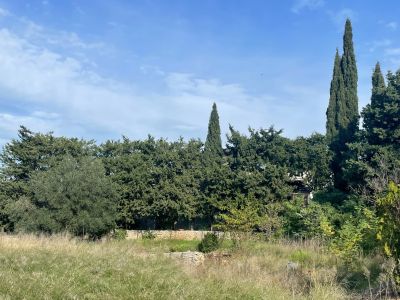 Sale Buildable land Montpellier 1585&nbsp;m²