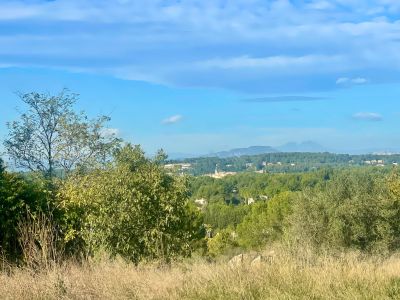 Sale Buildable land Montpellier 1585&nbsp;m²