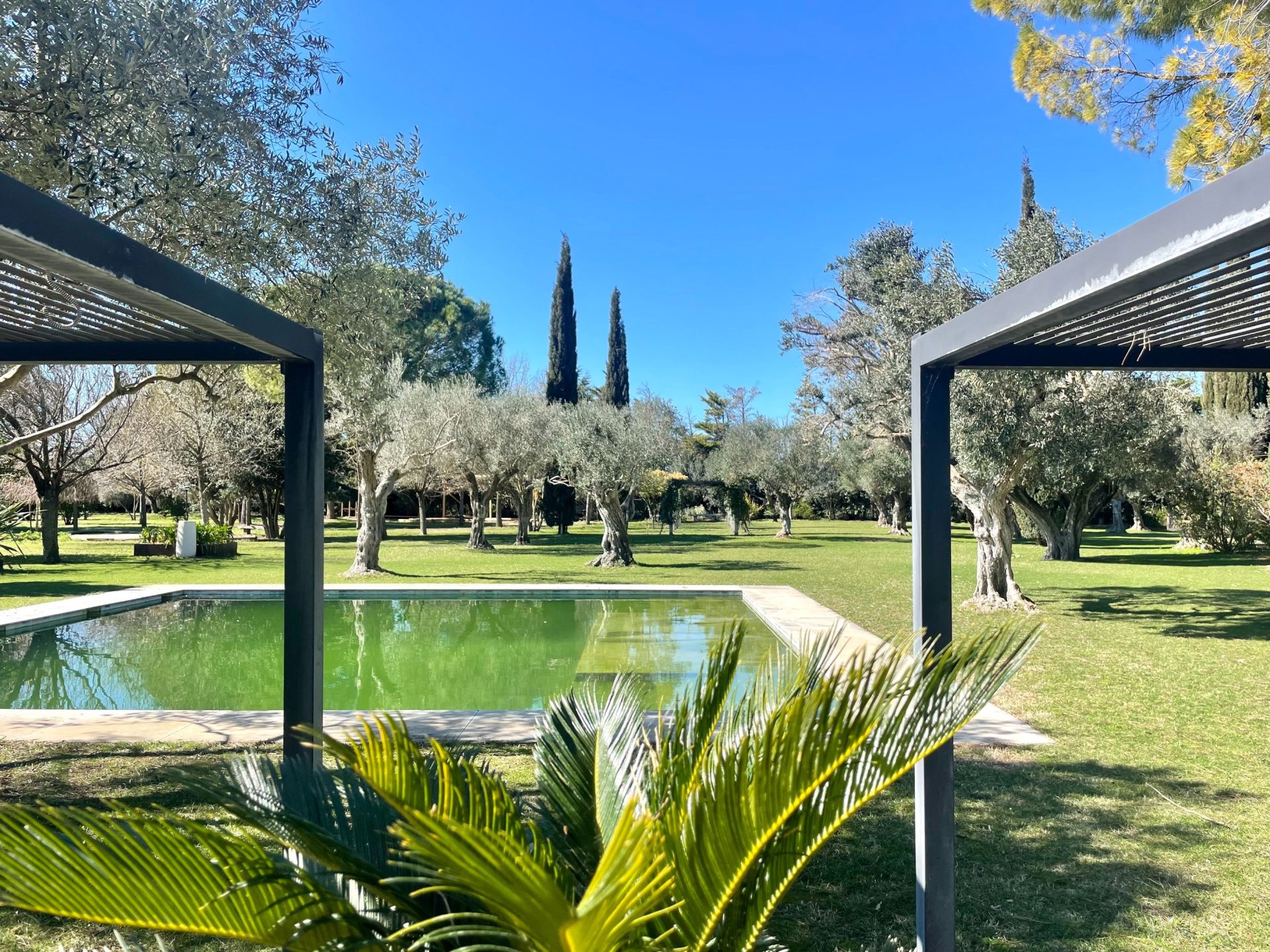 propriété 14 Pièces en vente sur MONTPELLIER (34000)