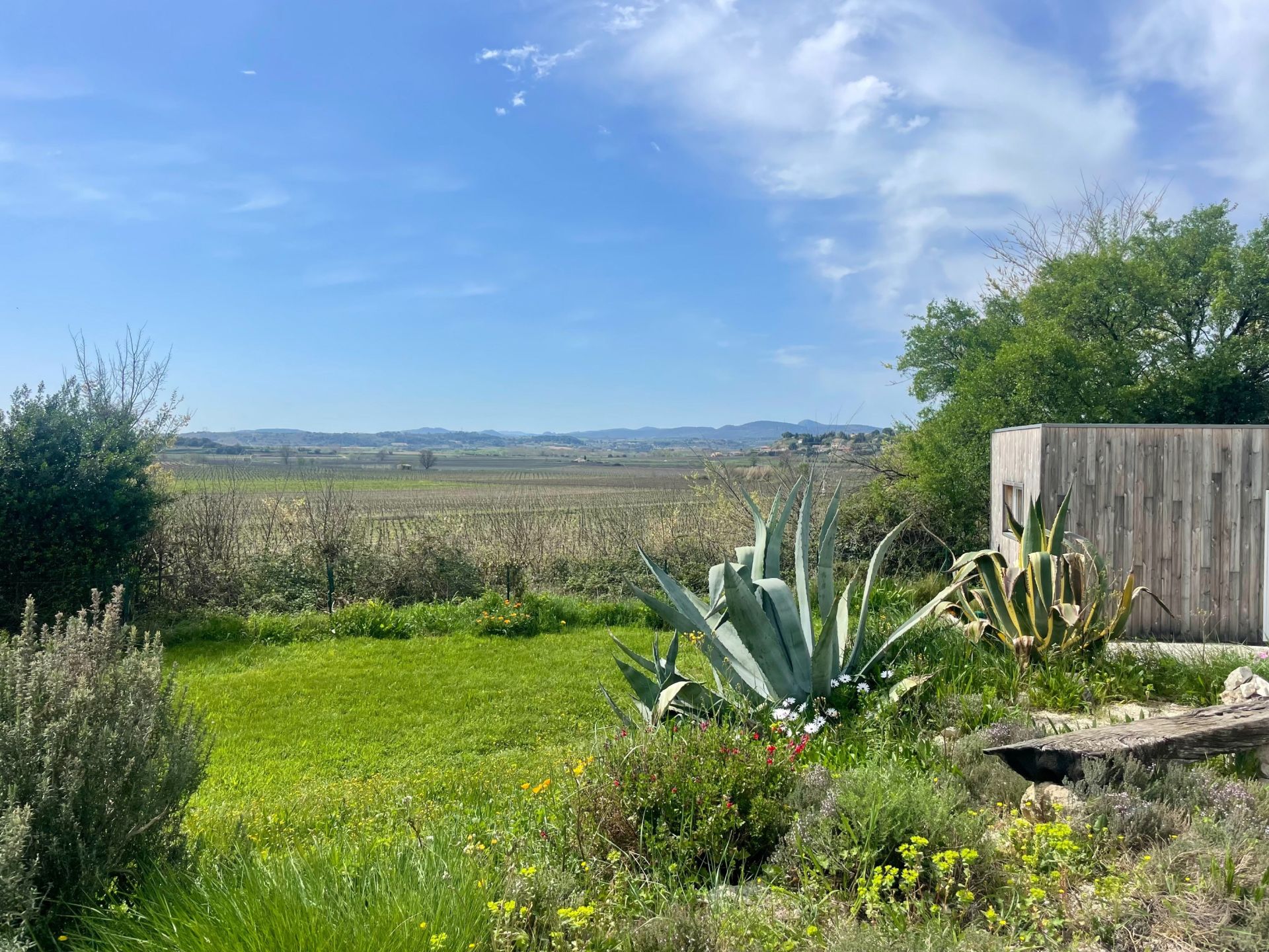 house 6 Rooms for sale on PEZENAS (34120)