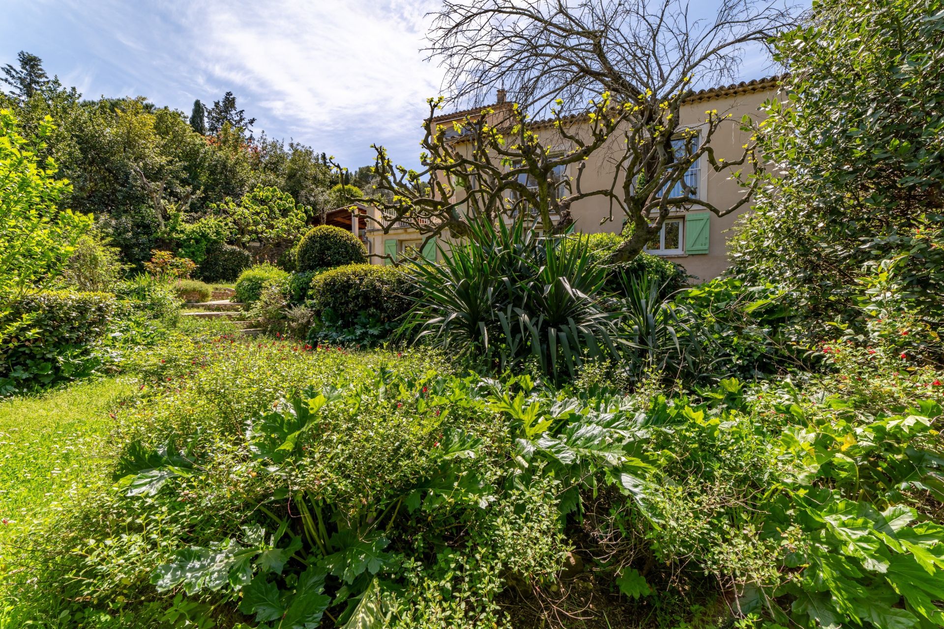 maison 11 Pièces en vente sur MONTPELLIER (34090)