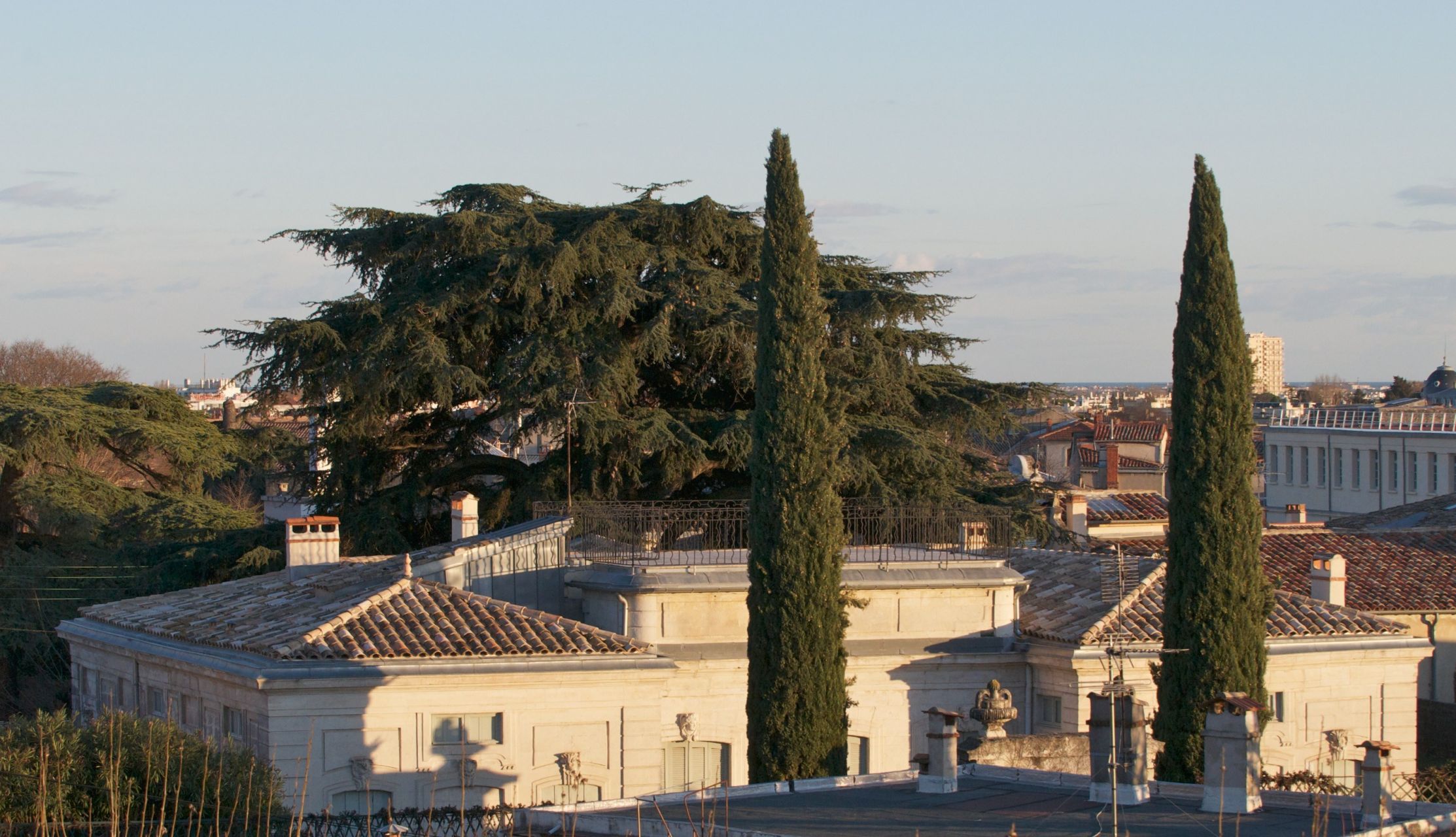 maison 12 Pièces en vente sur MONTPELLIER (34000)