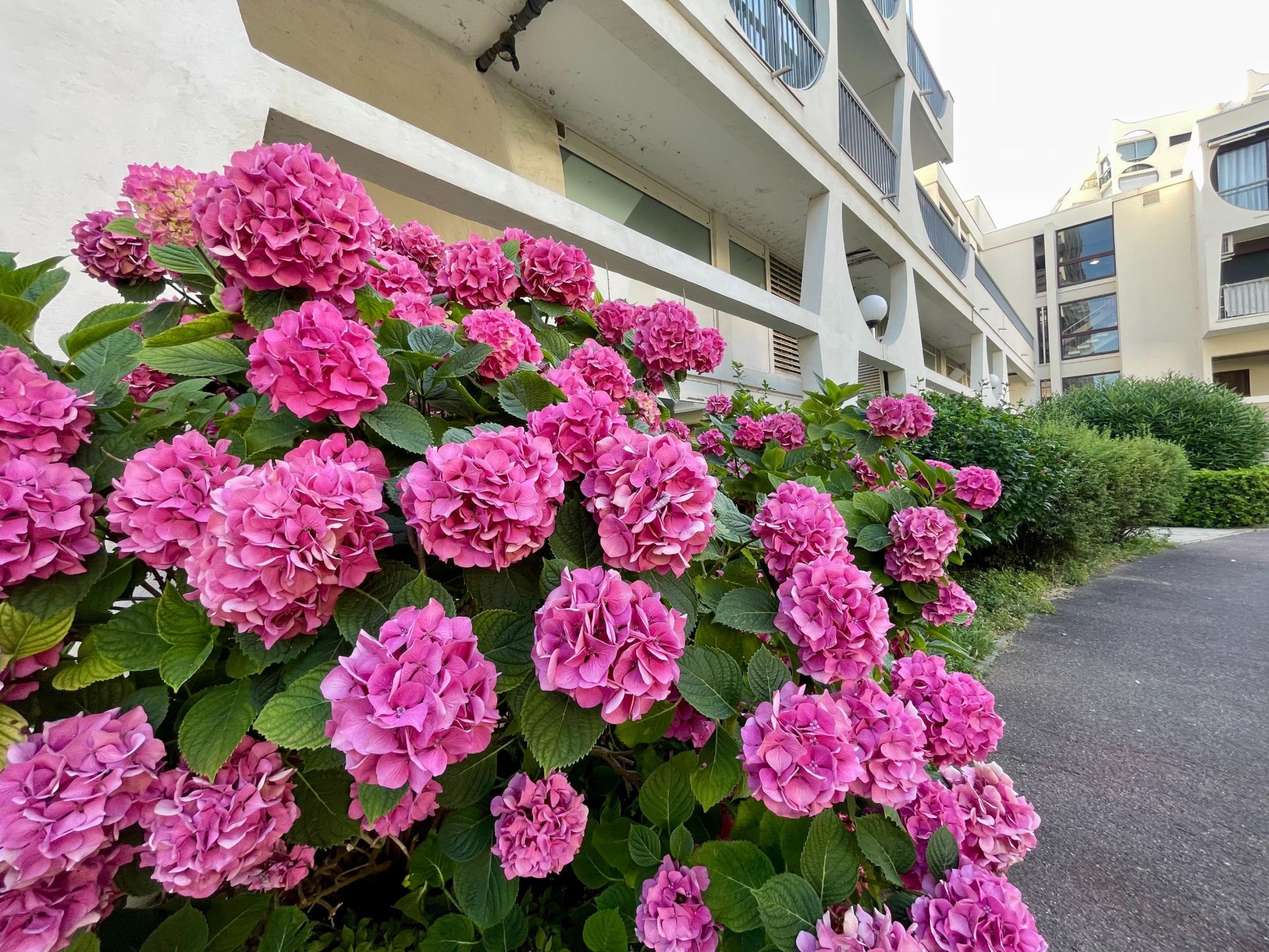 appartement 3 Pièces en vente sur LA GRANDE MOTTE (34280)