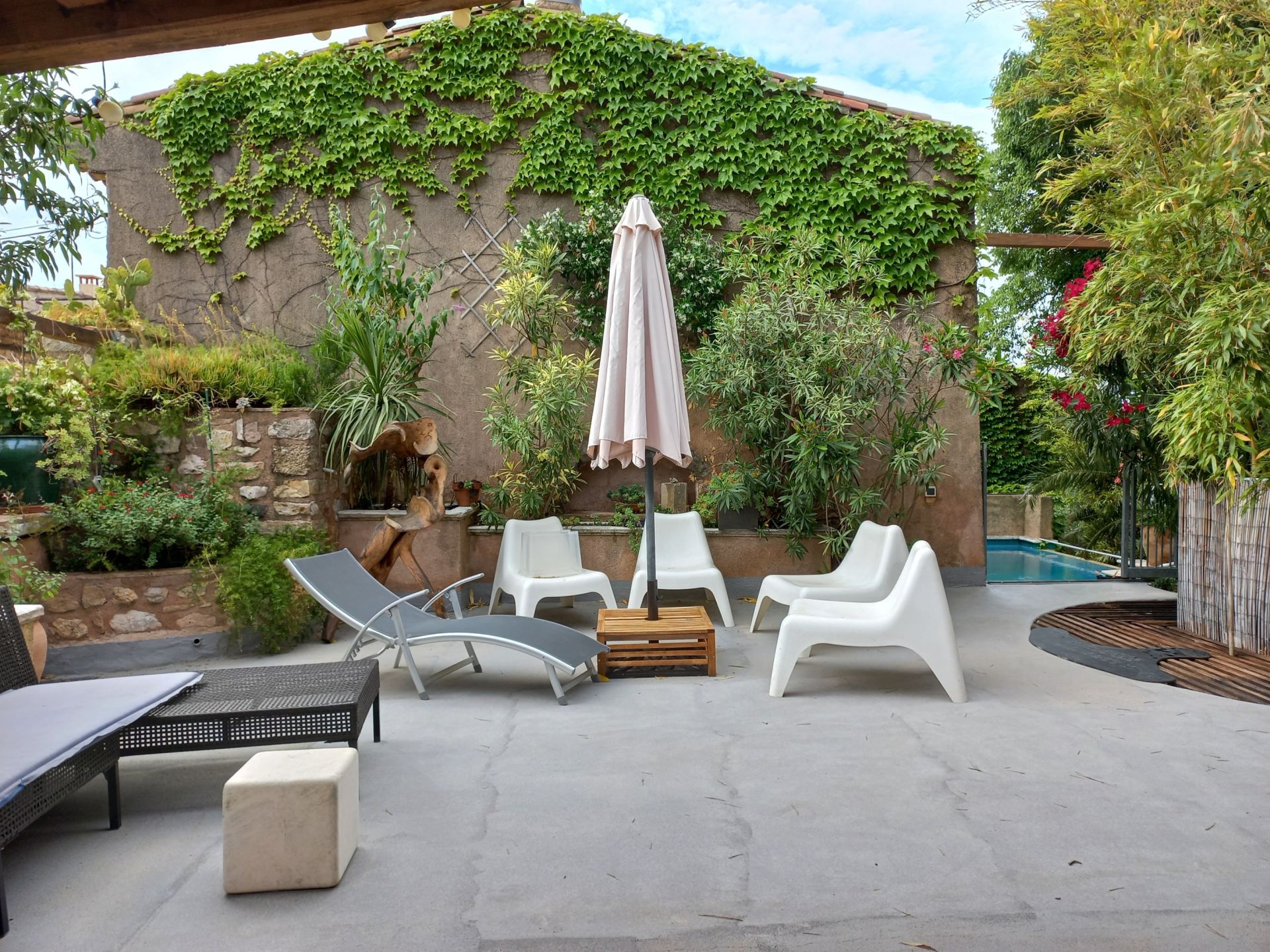 house 13 Rooms for sale on MONTPEYROUX (34150)