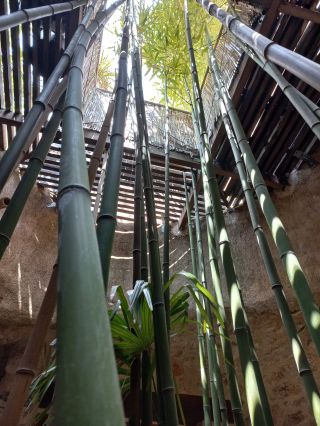 maison 13 Pièces en vente sur MONTPEYROUX (34150)