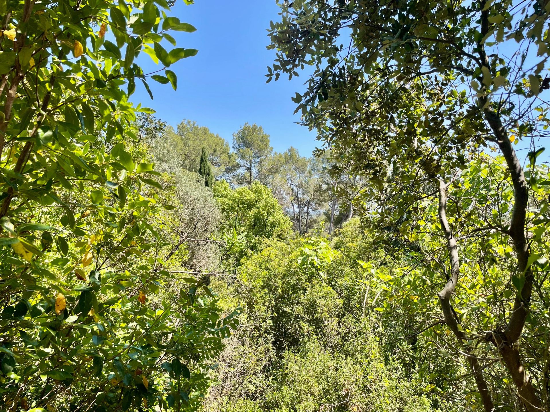 buildable land for sale on CLAPIERS (34830)