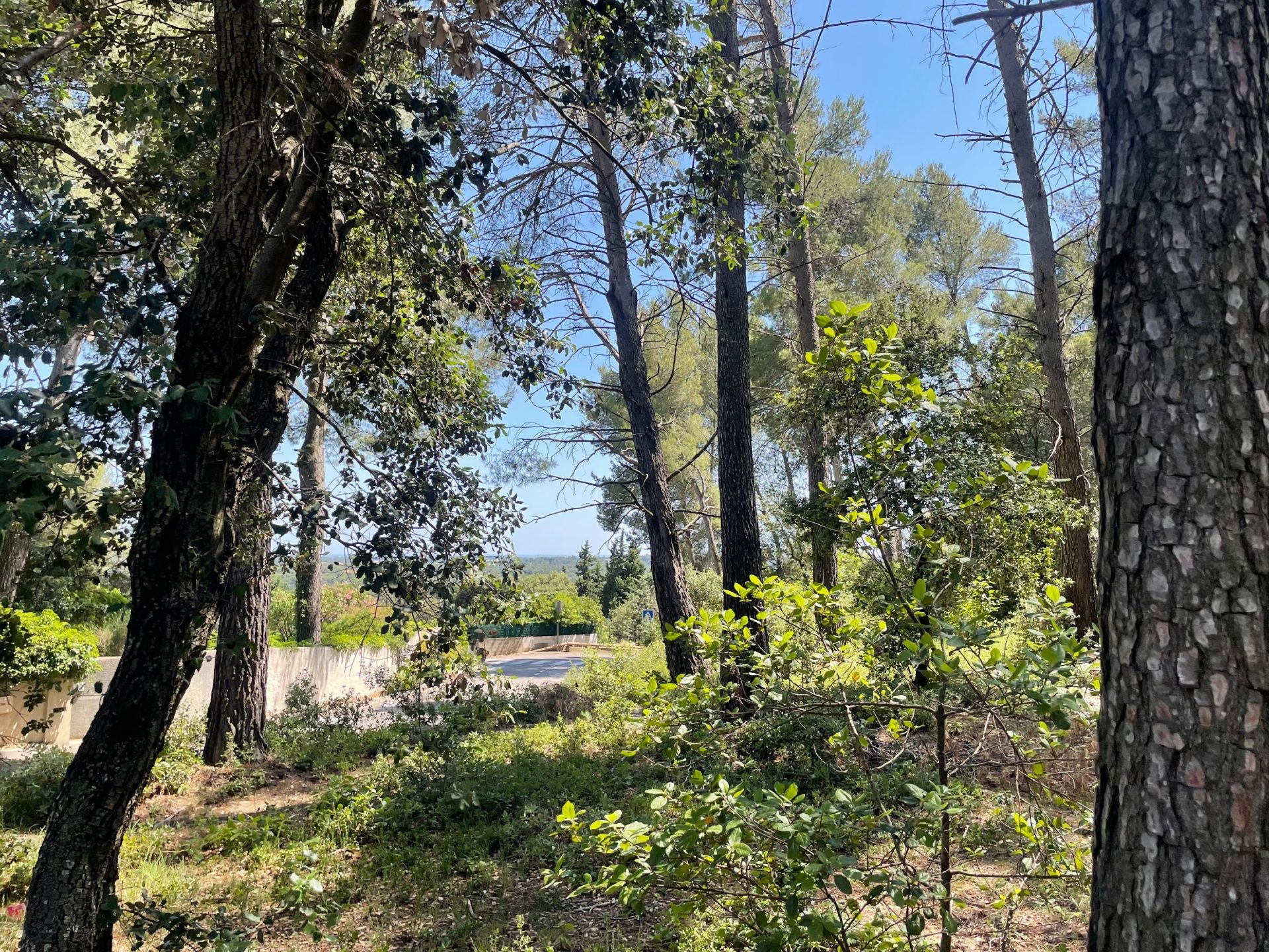 buildable land for sale on CLAPIERS (34830)