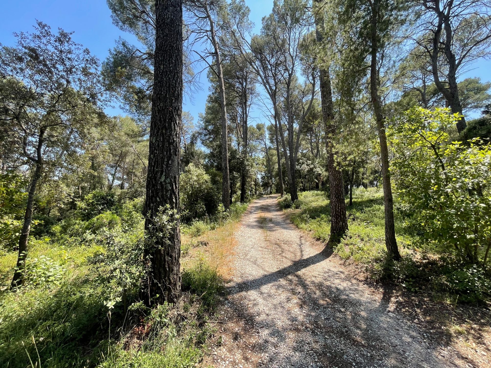 buildable land for sale on CLAPIERS (34830)