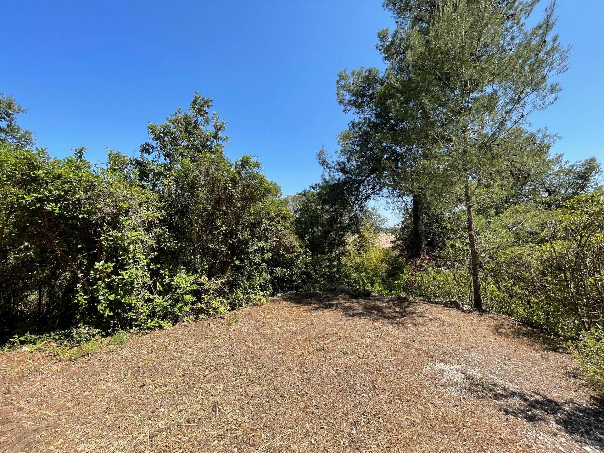 buildable land for sale on CLAPIERS (34830)