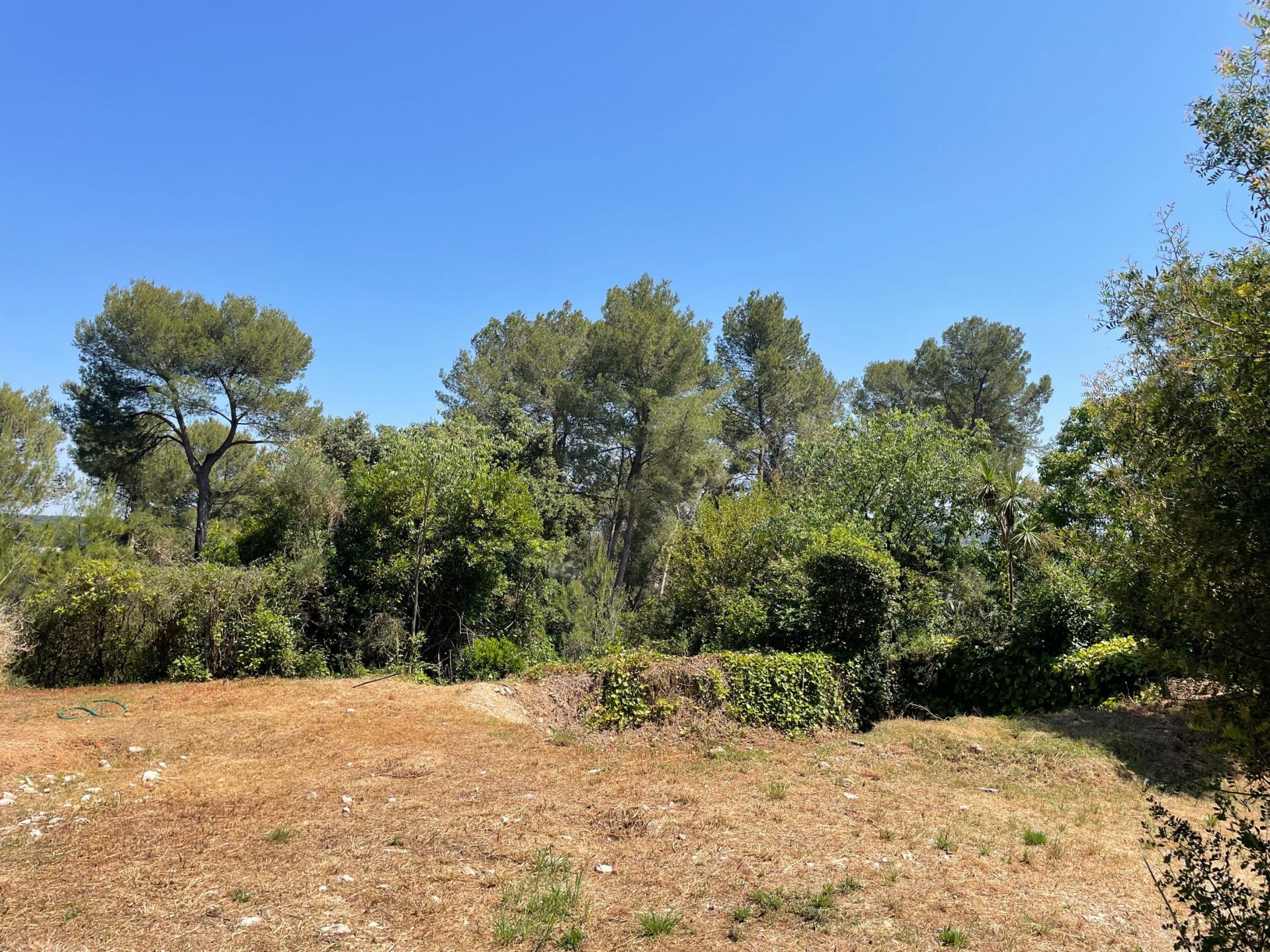 buildable land for sale on CLAPIERS (34830)