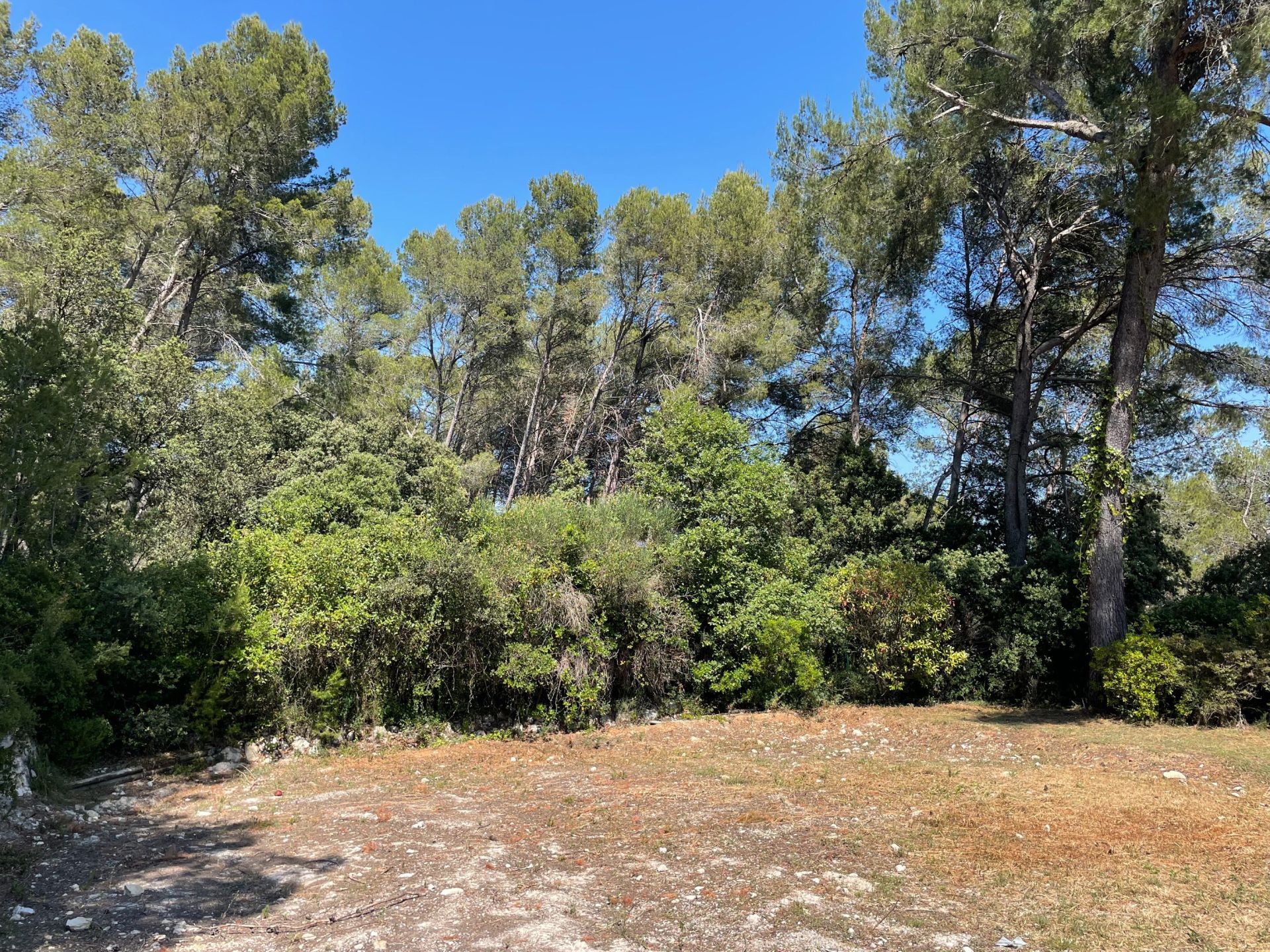 buildable land for sale on CLAPIERS (34830)