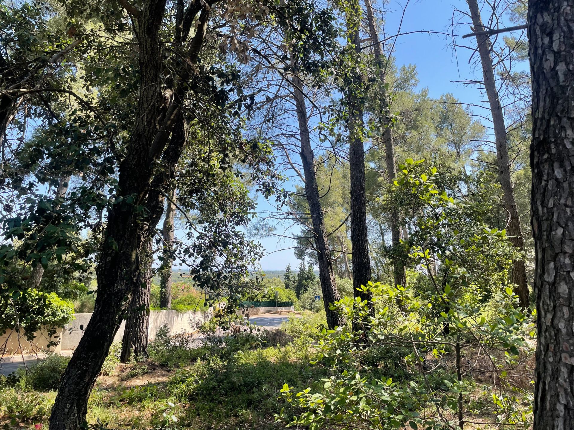 buildable land for sale on CLAPIERS (34830)