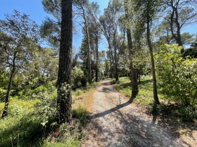 Sale Buildable land Clapiers 1865 m²