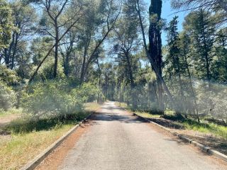 buildable land for sale on CLAPIERS (34830)