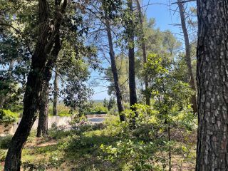 buildable land for sale on CLAPIERS (34830)