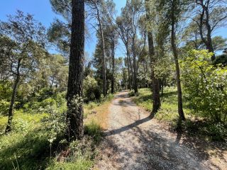 buildable land for sale on CLAPIERS (34830)