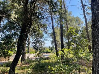 buildable land for sale on CLAPIERS (34830)