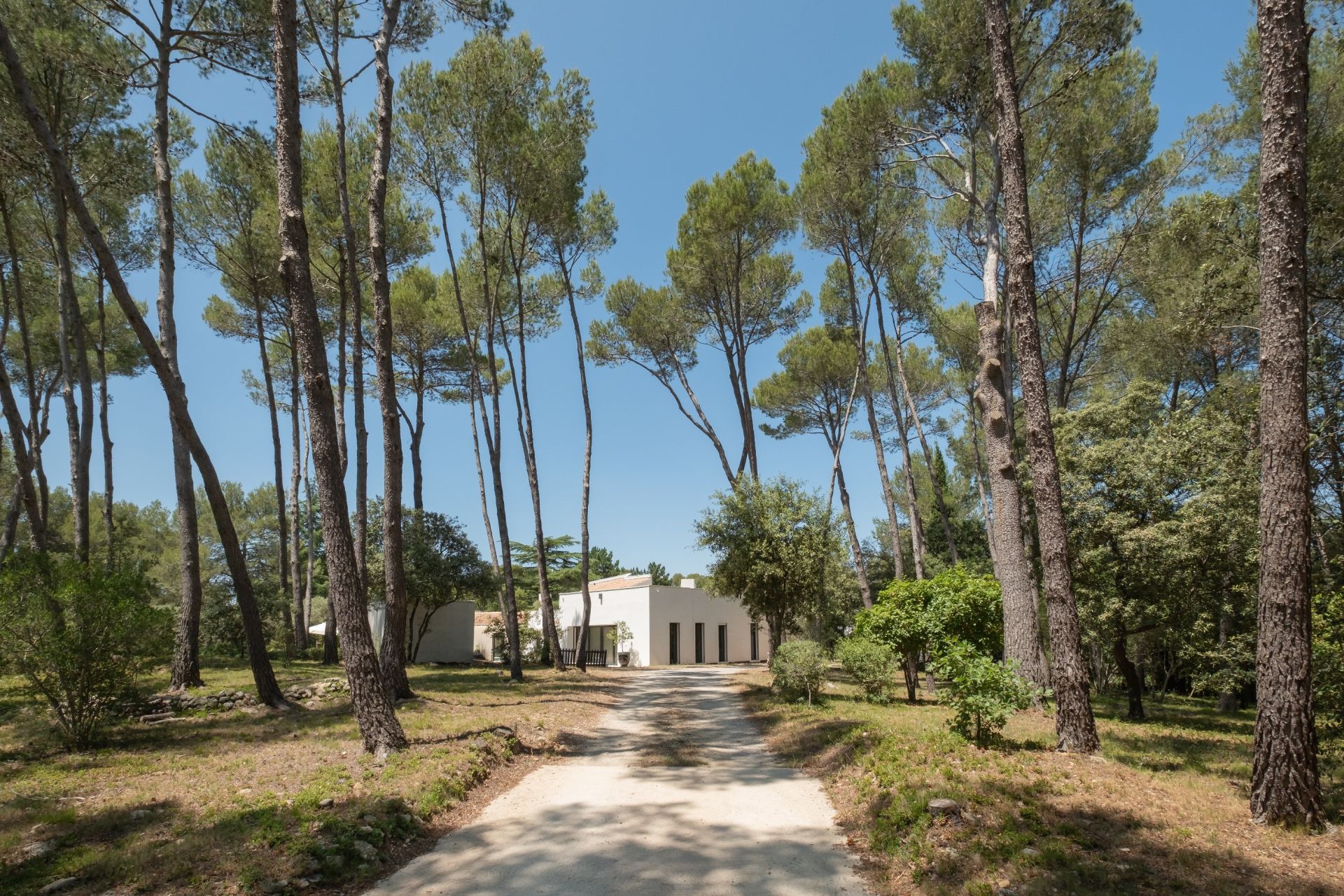 maison 10 Pièces en vente sur MONTPELLIER (34000)