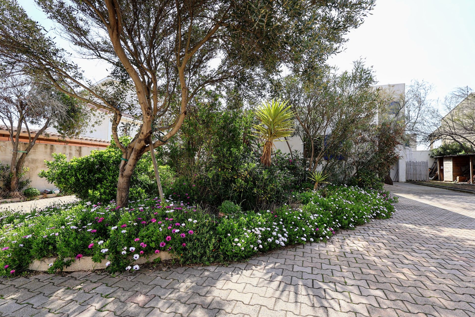 maison 8 Pièces en vente sur FRONTIGNAN (34110)