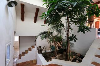 maison 8 Pièces en vente sur FRONTIGNAN (34110)