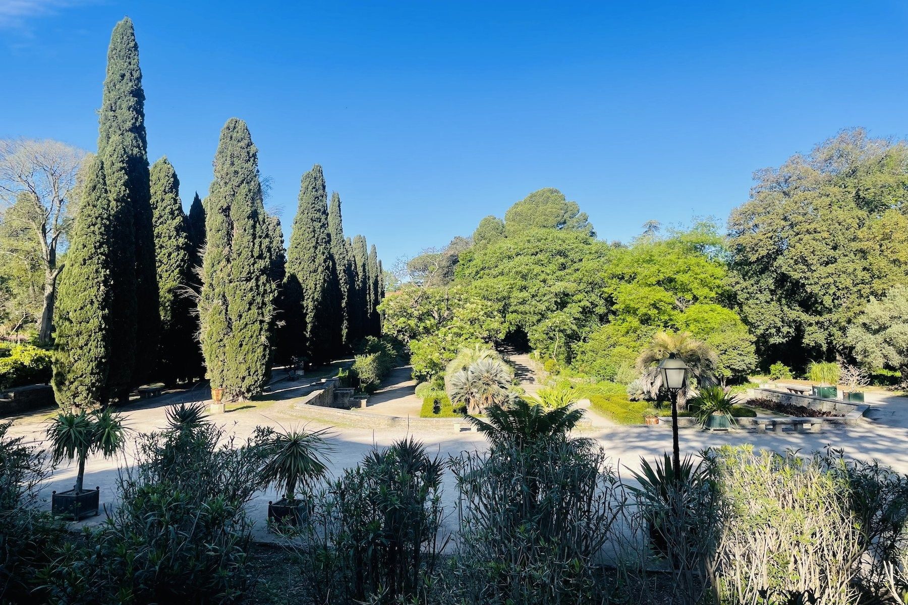 house 10 Rooms for sale on ST JEAN DE VEDAS (34430)