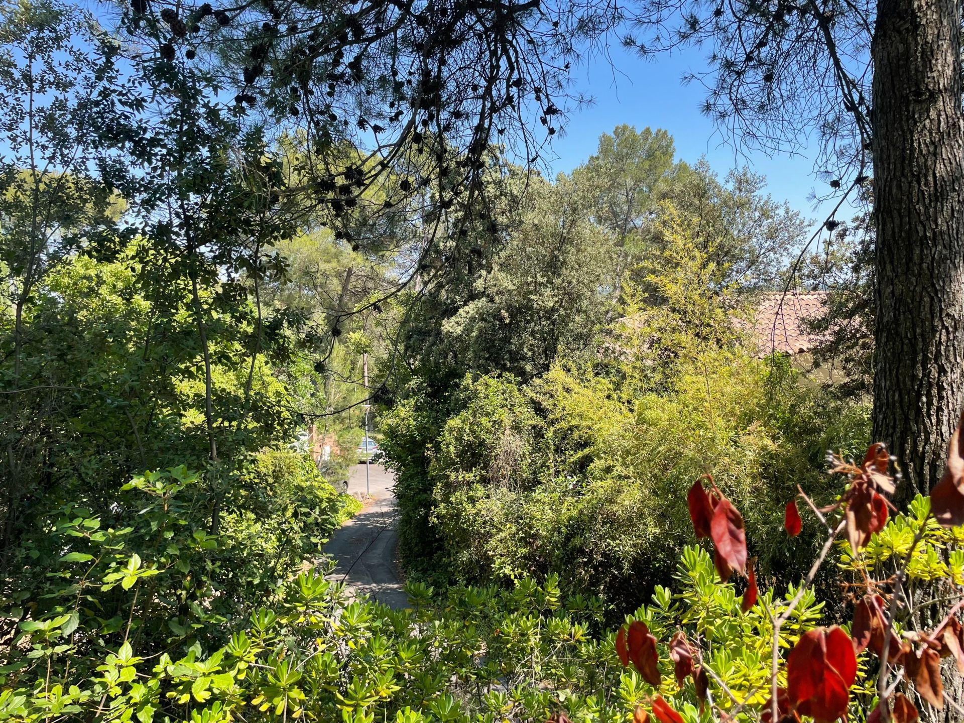 buildable land for sale on CASTELNAU LE LEZ (34170)
