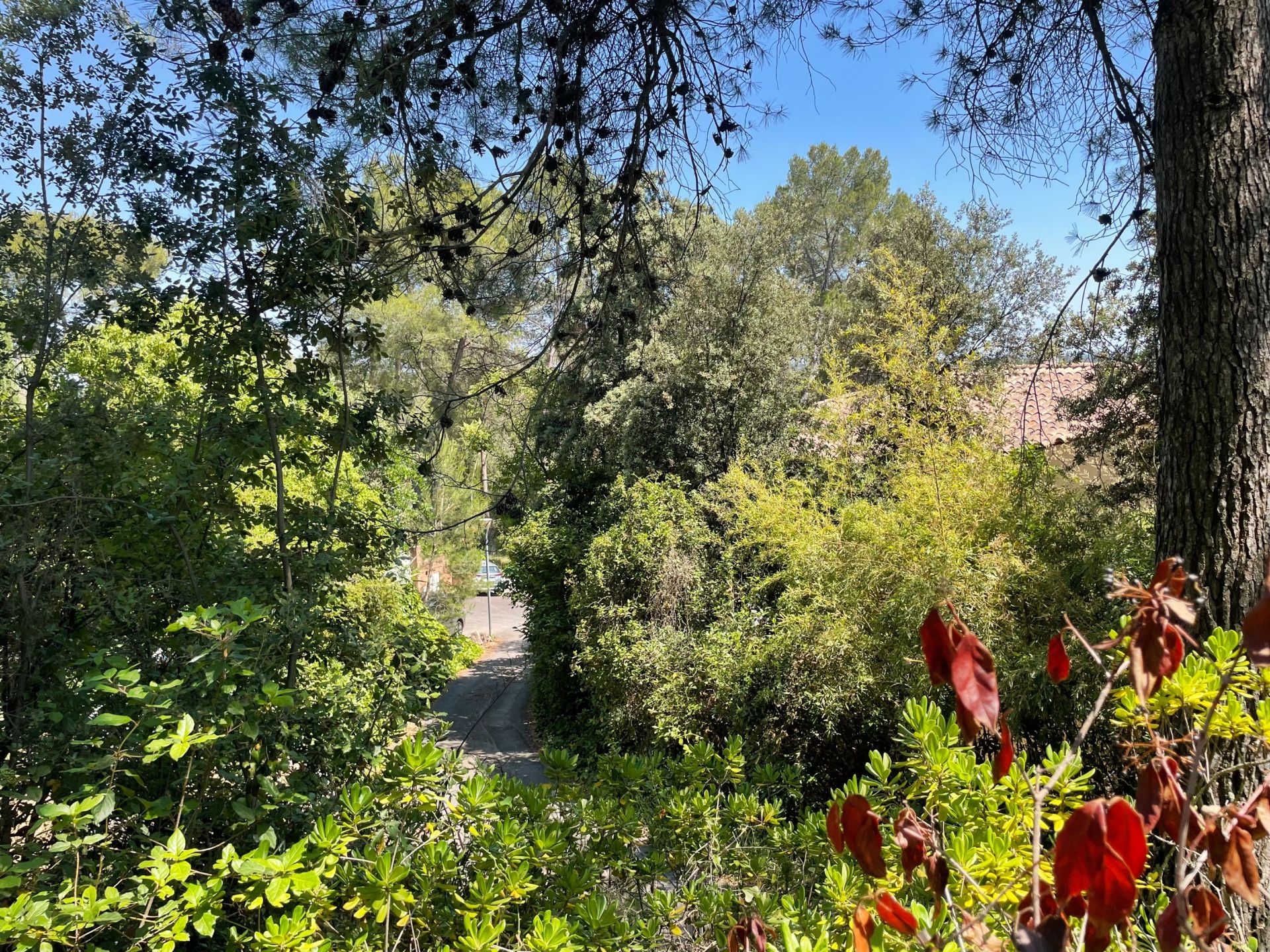 buildable land for sale on CASTELNAU LE LEZ (34170)