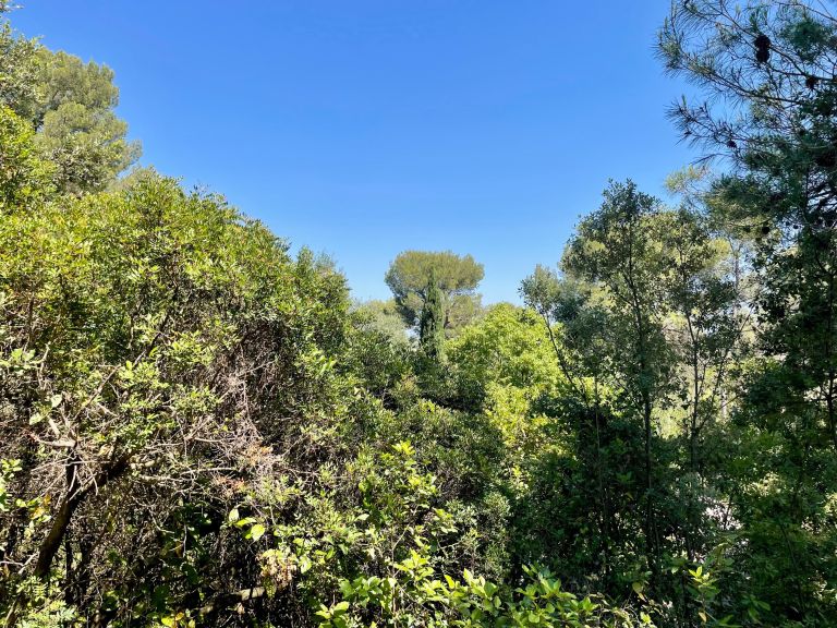 buildable land for sale on CASTELNAU LE LEZ (34170)