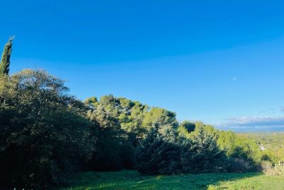 Sale Buildable land Castelnau-le-Lez 1000&nbsp;m²