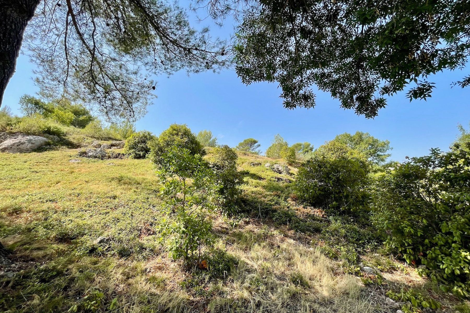 house 10 Rooms for sale on GRABELS (34790)