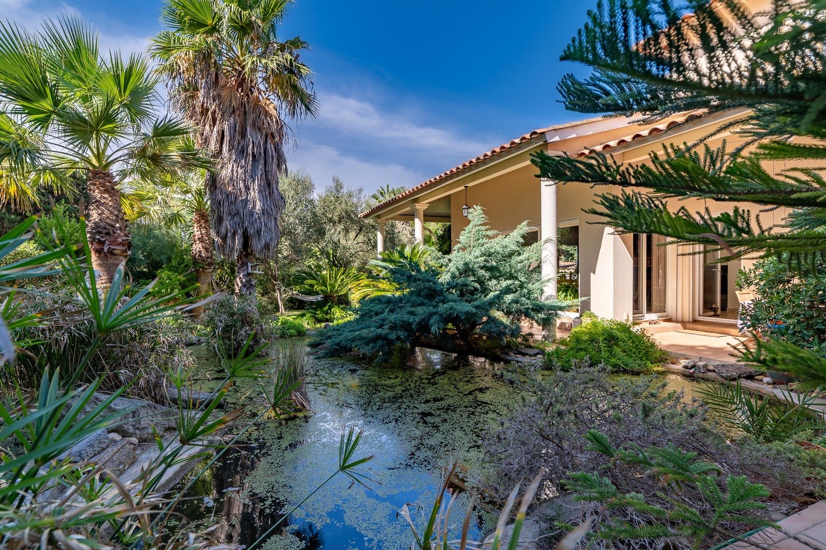 house 7 Rooms for sale on AGDE (34300)