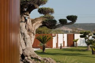 maison 9 Pièces en vente sur FRONTIGNAN (34110)