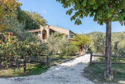 Sale Property Claret 21&nbsp;Rooms 530&nbsp;m²