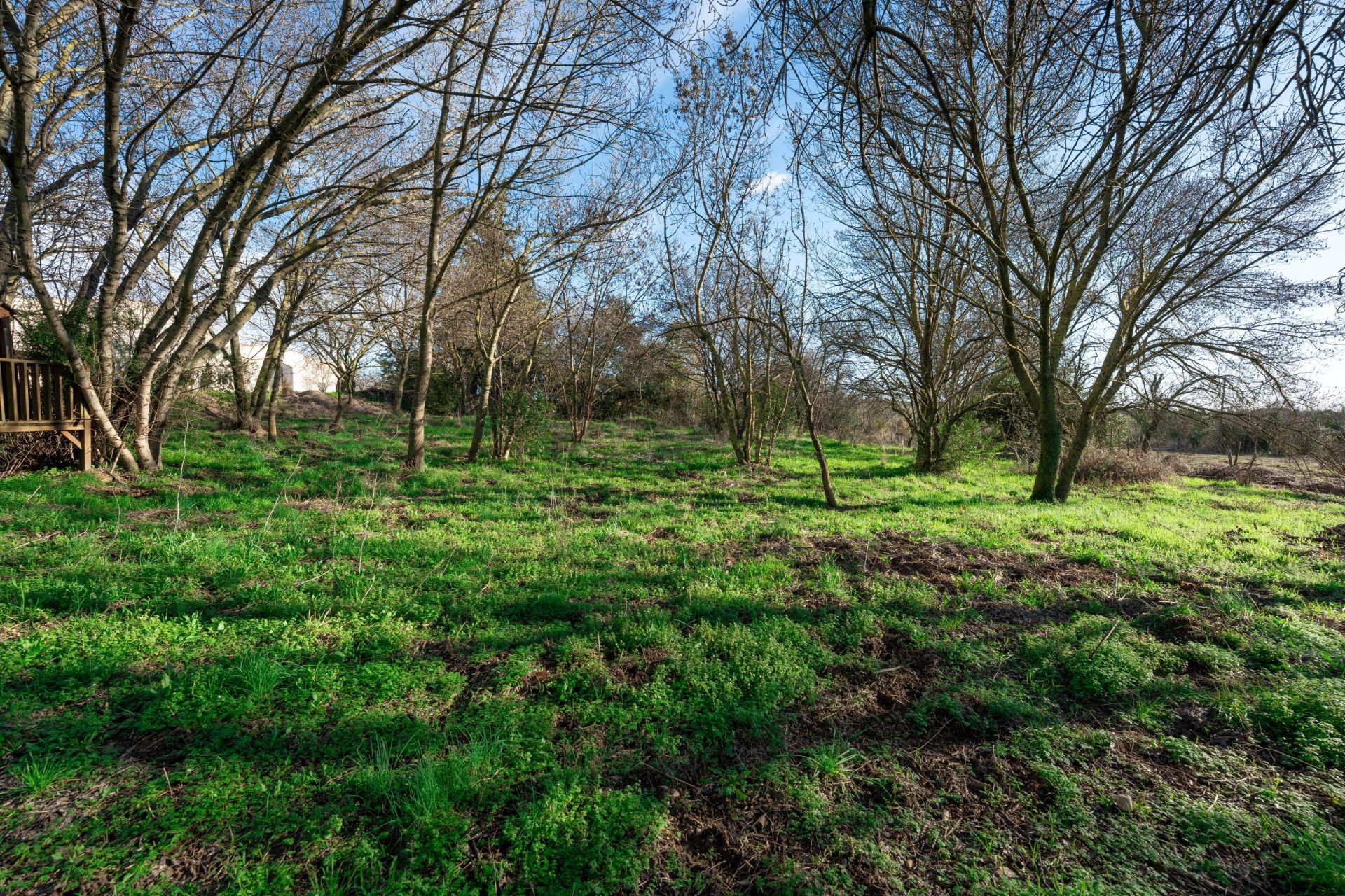 maison 6 Pièces en vente sur CASTRIES (34160)