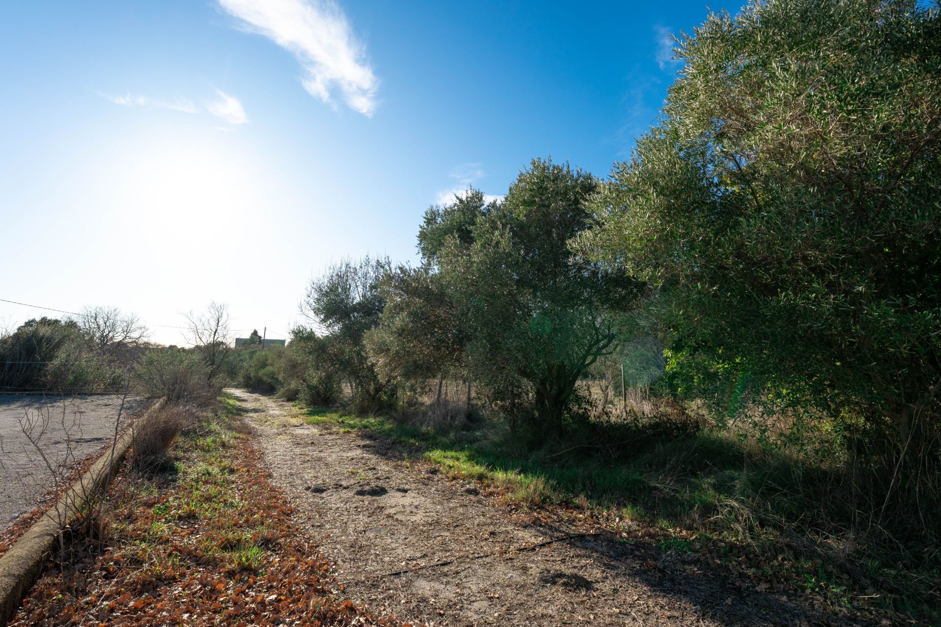 maison 6 Pièces en vente sur CASTRIES (34160)