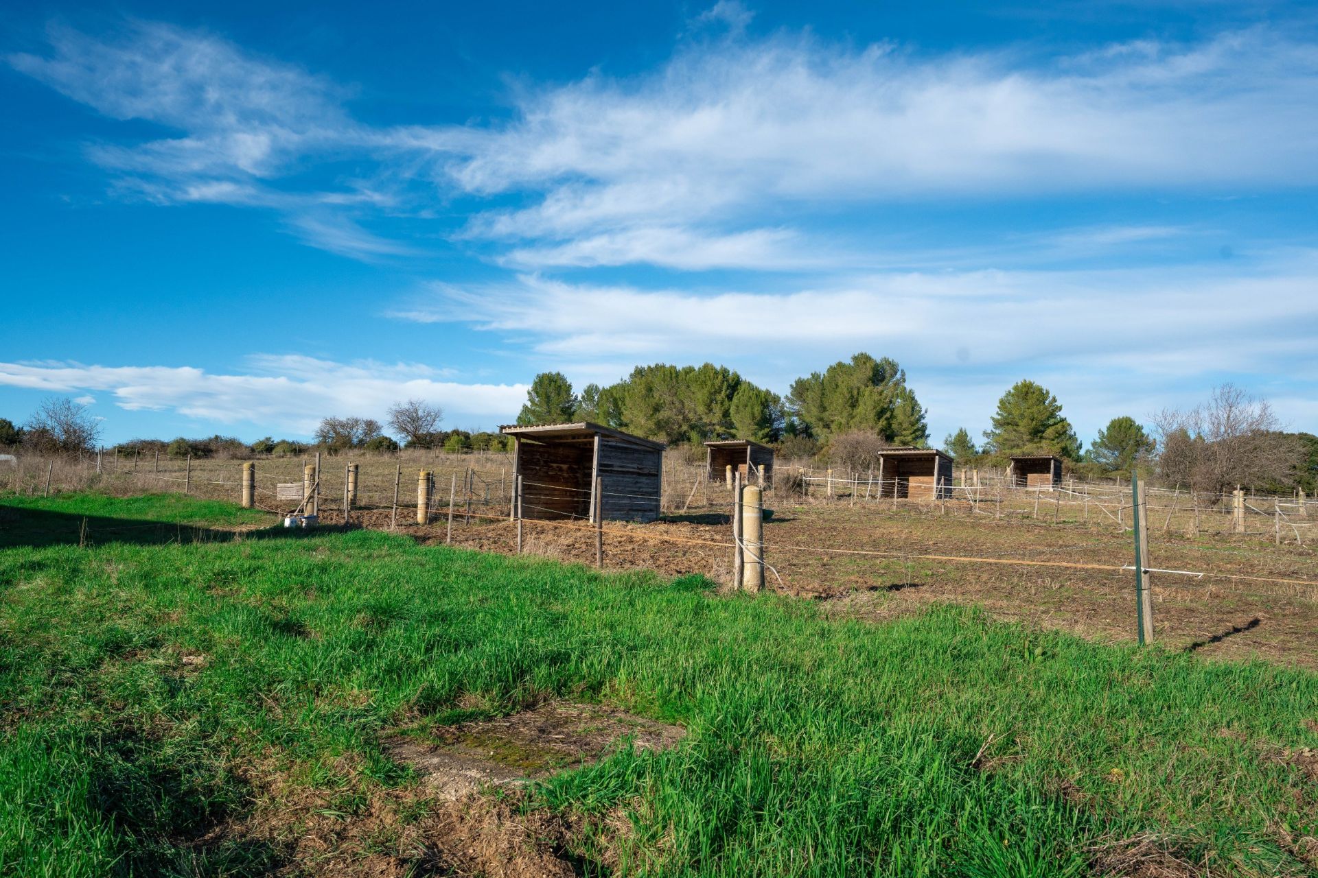 maison 6 Pièces en vente sur CASTRIES (34160)
