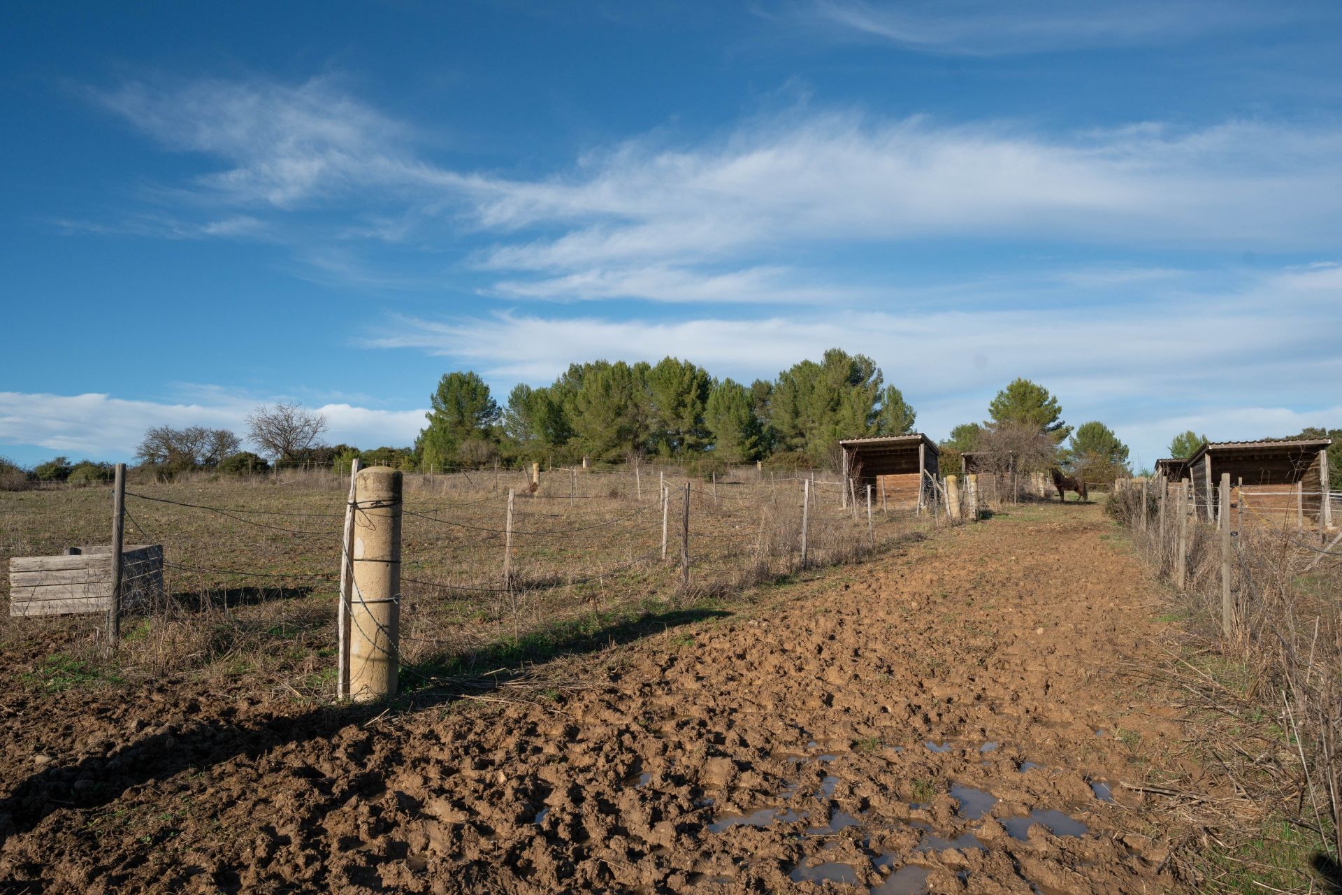 maison 6 Pièces en vente sur CASTRIES (34160)