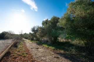 maison 6 Pièces en vente sur CASTRIES (34160)