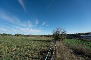 maison 6 Pièces en vente sur CASTRIES (34160)