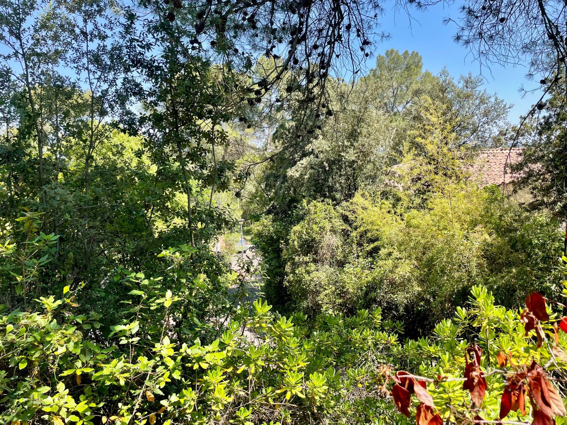 buildable land for sale on MONTPELLIER (34090)