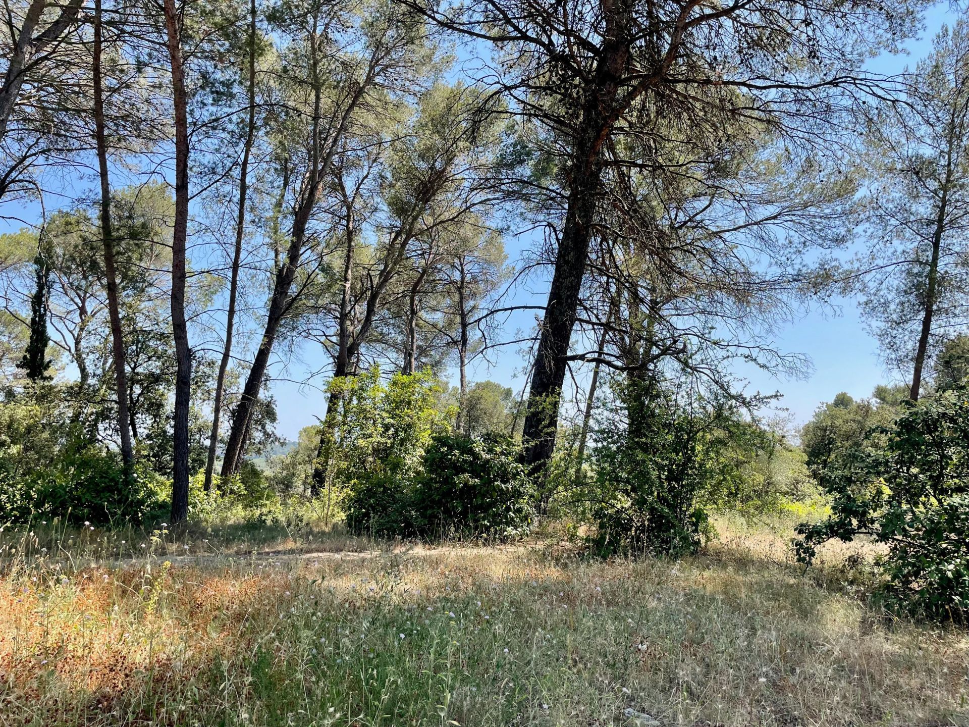 buildable land for sale on MONTPELLIER (34090)
