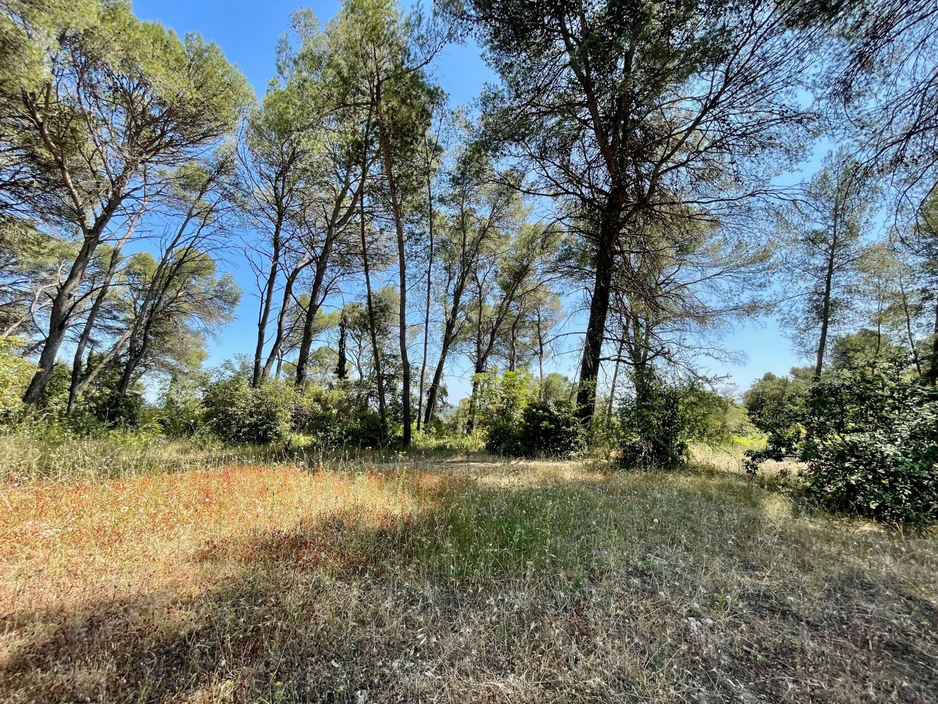 buildable land for sale on MONTPELLIER (34090)