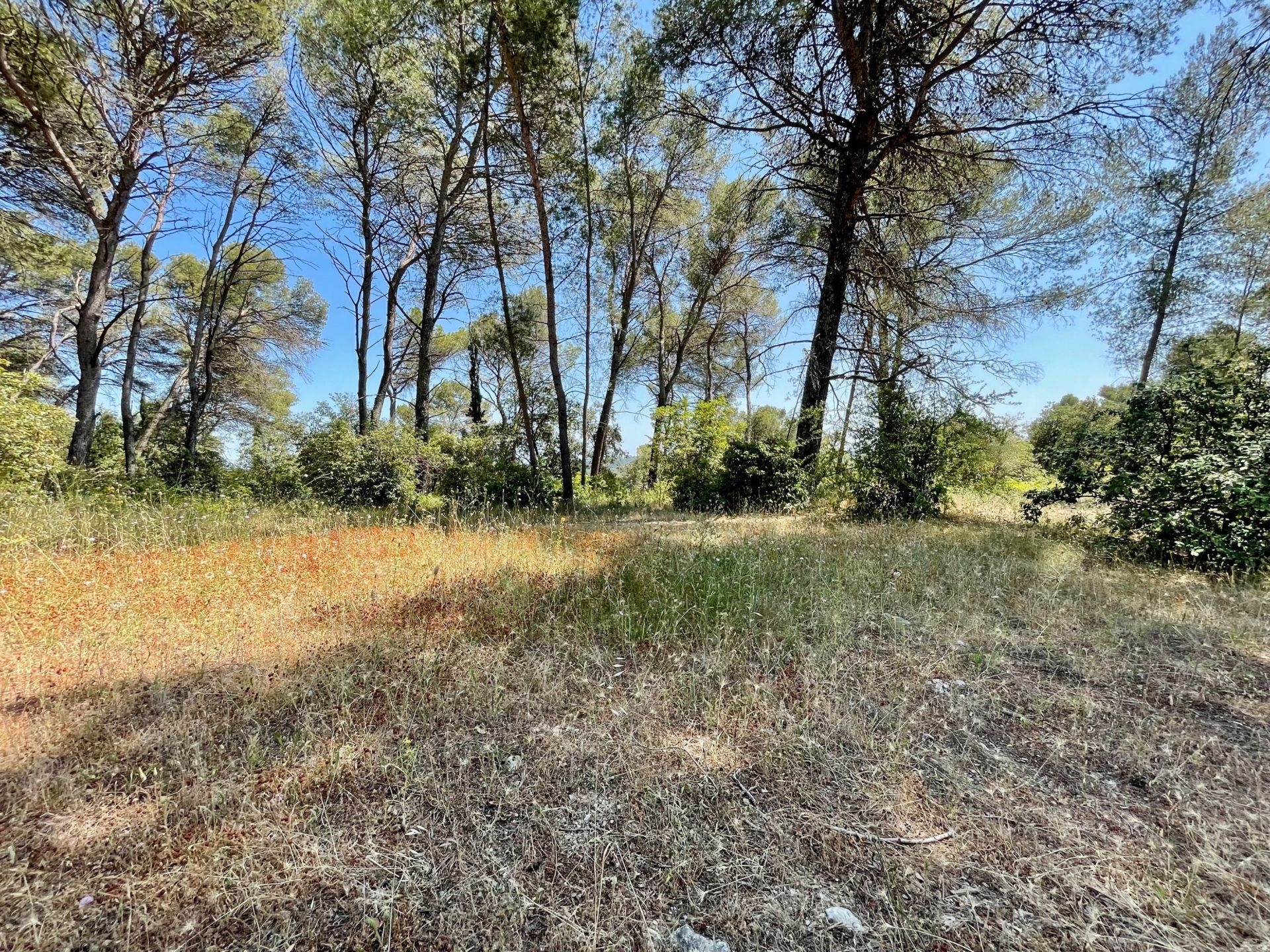 buildable land for sale on MONTPELLIER (34090)