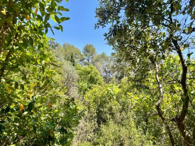 Sale Buildable land Montpellier 1761&nbsp;m²