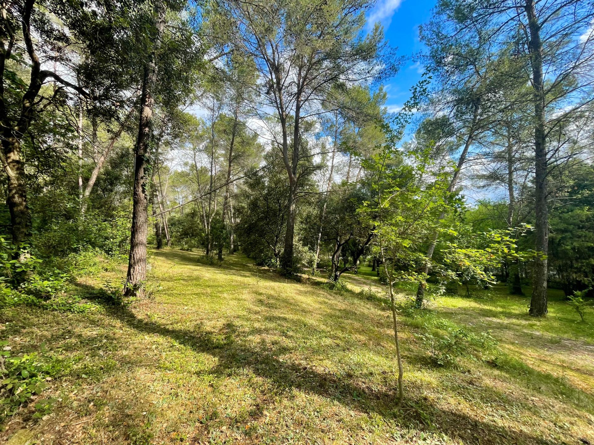 maison 9 Pièces en vente sur MONTPELLIER (34000)