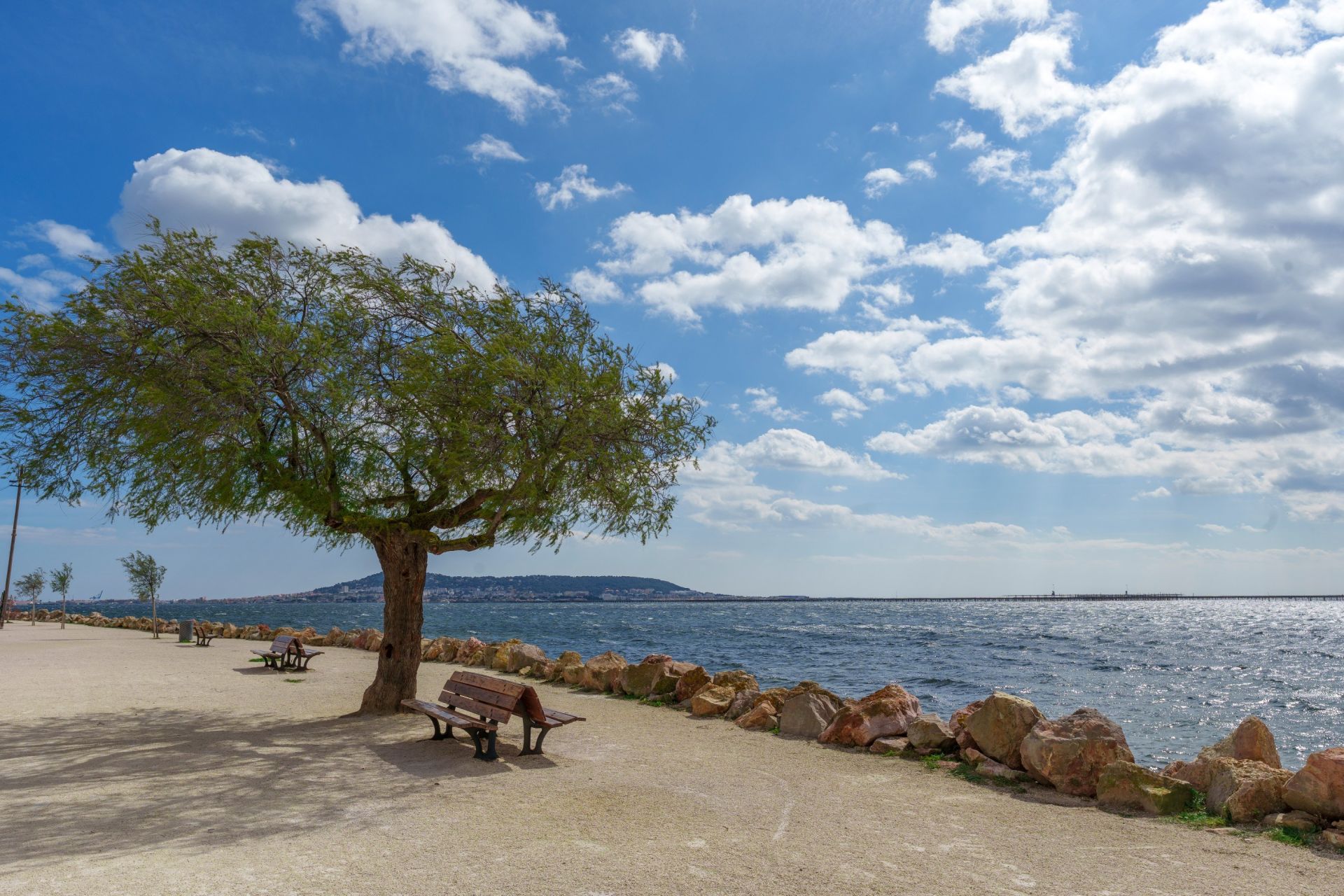 house 9 Rooms for sale on BOUZIGUES (34140)